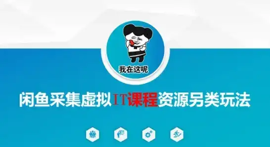 闲鱼采集虚拟IT课程资源另类玩法，干货满满-优优云创网