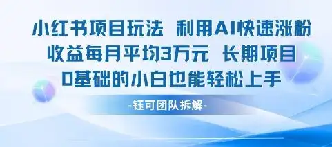 适合小白操作的小红书新项目，利用AI快速涨粉，收益每月平均1W+-优优云创网