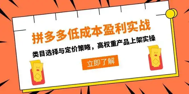 拼多多低成本盈利实战，类目选择与定价策略，高权重产品上架实操-优优云创网