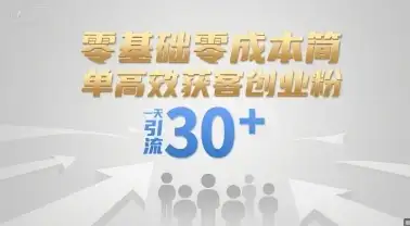 零基础零成本简单高效获客创业粉，一天引流30+-优优云创网