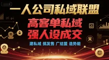【精】一人公司私域联盟，高客单私域，强人设成交，建私域 搞发售 广结盟 造势能-优优云创网
