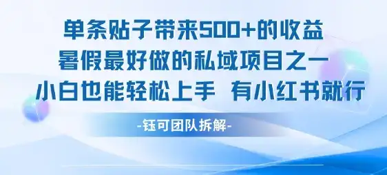 单条贴子带来5张的收益，暑假最好做的私域项目之一，小白也能轻松上手，有小红书就行-优优云创网