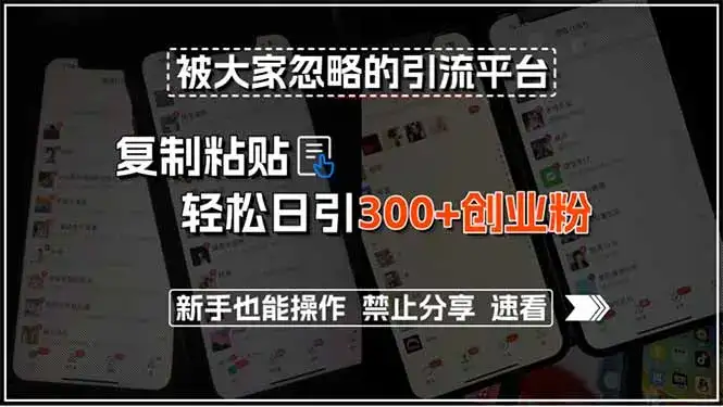 被大家忽略的引流平台，复制粘贴轻松日引300+创业粉，新手也能操作，禁…-优优云创网