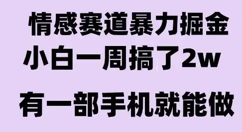 情感暴力掘金项目，新人操作一周挣了2W，长期稳定小白可做【揭秘】-优优云创网
