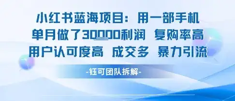 小红书蓝海项目，一部手机单月做了3W利润，小白也能月入过1W用户认可度高成交多-优优云创网