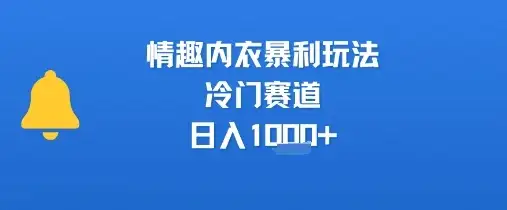 情趣内衣暴利玩法，冷门赛道，日入1k+-优优云创网
