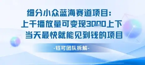 小众蓝海赛道项目:当天变现1k+适合新手操作 +适合长期玩-优优云创网