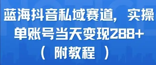 蓝海抖音私域赛道,实操单账号当天变现288+(附教程)-优优云创网