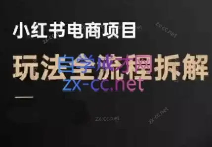 菲菲老师·小红书电商玩法(更新7月)-优优云创网