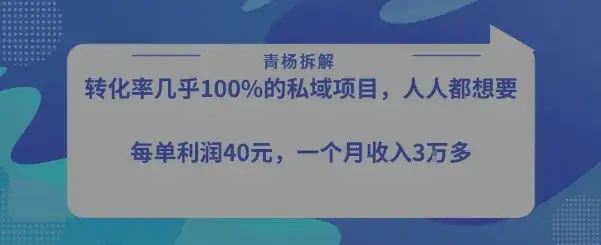 转化率最高的私域项目,每单利润40-50米,月入过1w-优优云创网