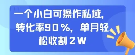 一个小白可操作私域,转化率90%,单月轻松收割2W-优优云创网
