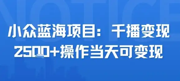 小众蓝海项目,千播变现2.5k+操作当天可变现-优优云创网