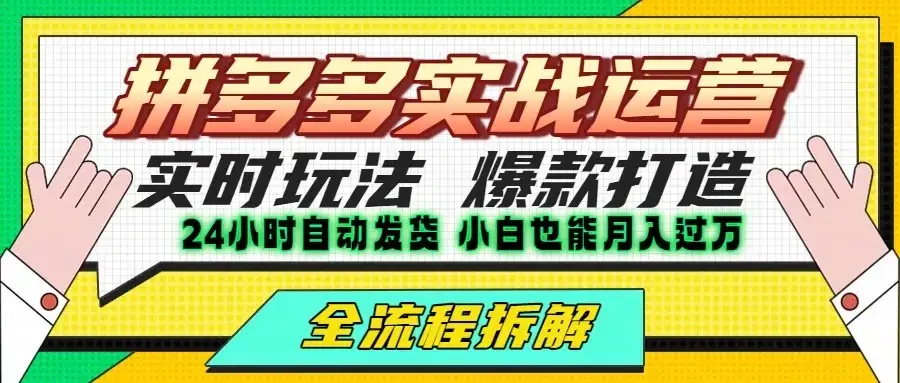 拼多多最新实战运营高投产：长久稳定项目，单店利润一天三位数-优优云创网
