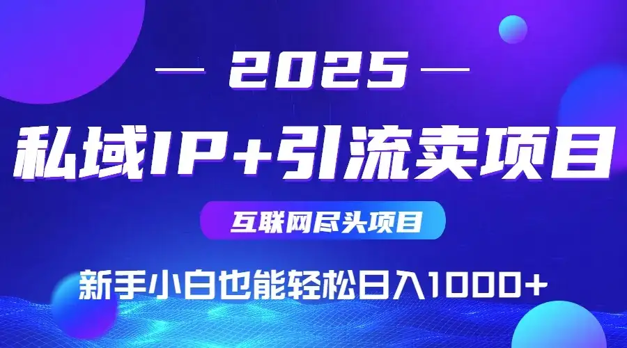 2025网创尽头项目,私域IP+引流,新手小白也能在家日入1000+-优优云创网