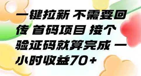 一键拉新 不需要回传 首码项目 接个验证码就算完成 一小时收益70+【揭秘】-优优云创网