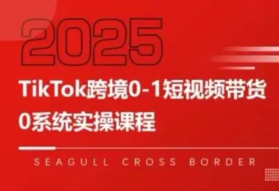 大亿老师·TikTok跨境0-1短视频带货-优优云创网