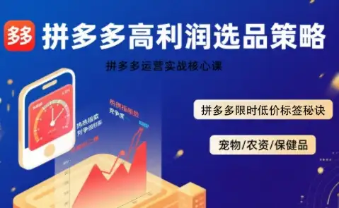久号老师·拼多多选品暴利技术实战课-优优云创网