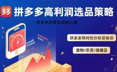 拼多多选品暴利技术实战课,拼多多高利润选品策略,拼多多限时低价标签秘诀-优优云创网