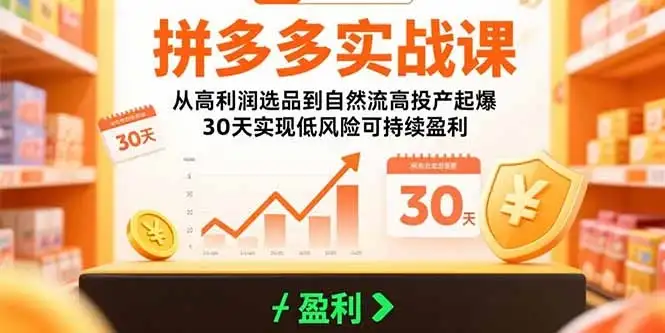 拼多多实战课:从高利润选品到自然流高投产起爆 30天实现低风险可持续盈利-优优云创网