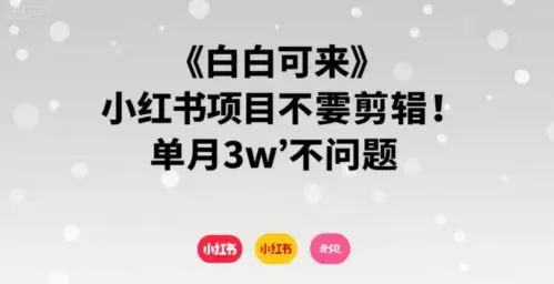 小白可来 小红书项目不需要剪辑 单月3w不是问题-优优云创网