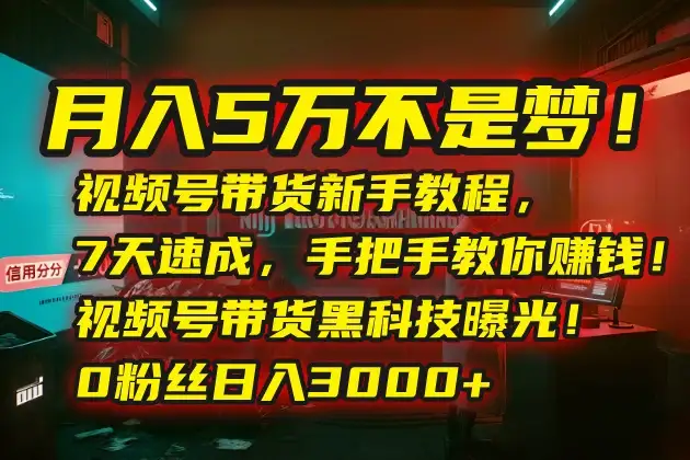 月入5万不是梦！视频号带货新手教程，7天速成，手把手教你赚钱！视频号…-优优云创网
