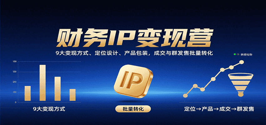 财务IP变现营:9大变现方式、定位设计、产品包装,成交与群发售批量转化-优优云创网