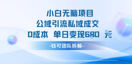 小白无脑项目公域引流私域成交0成本单日变现680米-优优云创网