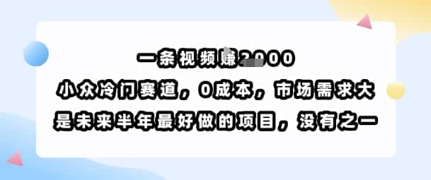 一条视频挣1k，小众冷门赛道，0成本，市场需求大，是未来半年最好做的项目，没有之一-优优云创网