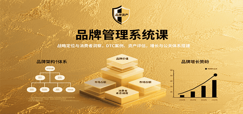 品牌管理系统课:战略定位与消费者洞察,DTC案例、资产评估,增长与公关体系搭建-优优云创网
