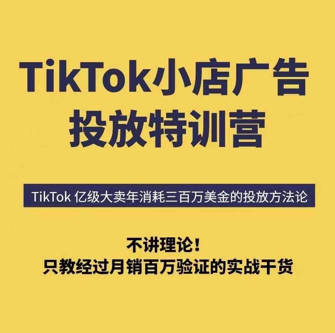 【精】TikTok小店广告投放特训营，6天破局计划专治各种“投不动”，教你经过月销百万验证的实战干货-优优云创网