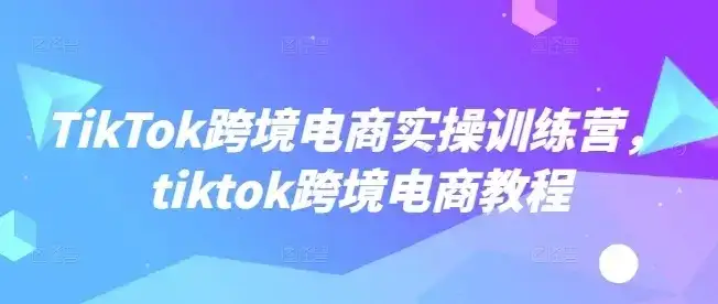 【精】TikTok跨境电商实操训练营，tiktok跨境电商教程-优优云创网