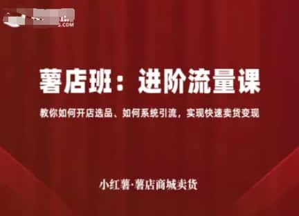小红薯薯店商城卖货，进阶流量课，教你如何开店选品、如何系统引流，实现快速卖货变现-优优云创网
