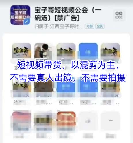 宝子哥头部团队短视频带货，以混剪为主，不需要真人出镜，不需要拍摄【更新9月】-优优云创网