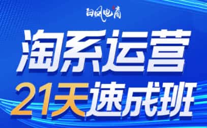 白凤电商·淘系运营21天速成班(更新9月)-优优云创网
