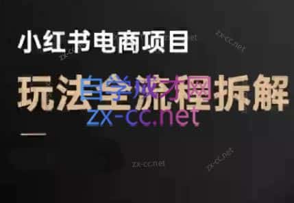 菲菲老师·小红书电商玩法(更新9月)-优优云创网