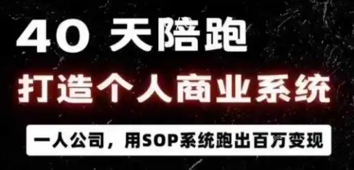 【精】40天陪跑打造个人商业系统，一人公司，用SOP系统跑出百W变现-优优云创网