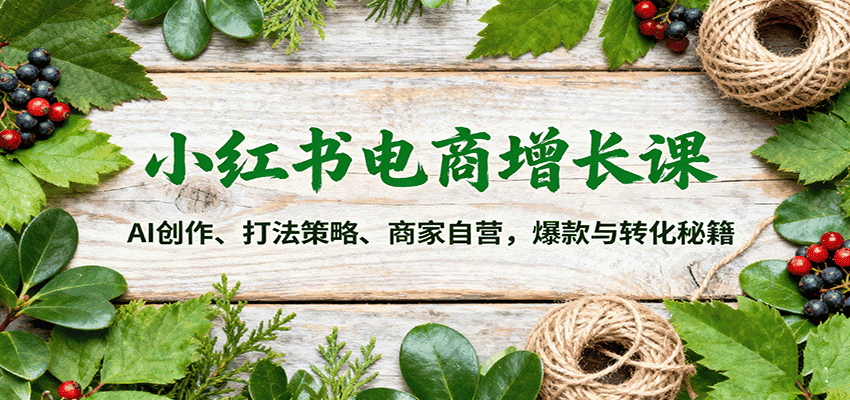 小红书电商增长课:AI创作、打法策略、商家自营,爆款与转化秘籍-优优云创网
