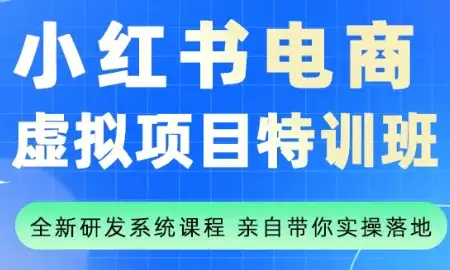 【精】陆明明·小红书虚拟项目特训班(更新9月)-优优云创网