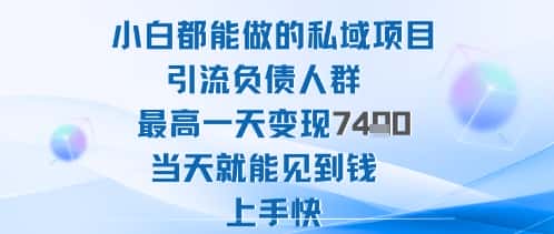 2025年小白都能做的私域项目引流负债人群最高一天变现1k+高变现难度低当天就能见到钱上手快-优优云创网