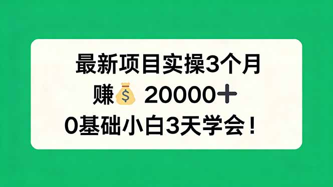 最新项目实操3个月，赚钱20000+，0基础小白3天学会！-优优云创网
