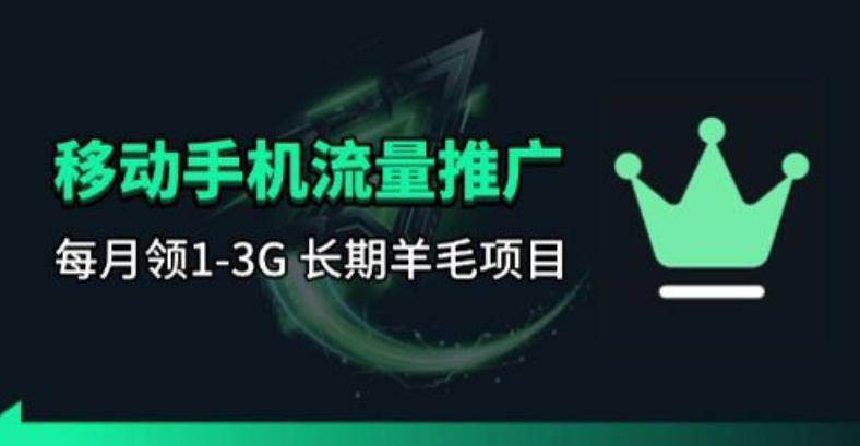 20260402165711104-e0b476daeb44e8dea0f570425b9410a7 手机流量领取推广_每月一轮,刚需类的长期项目