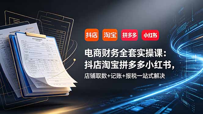 电商财务全套实操课：抖店淘宝拼多多小红书，店铺取数+记账+报税一站式解决-优优云创网
