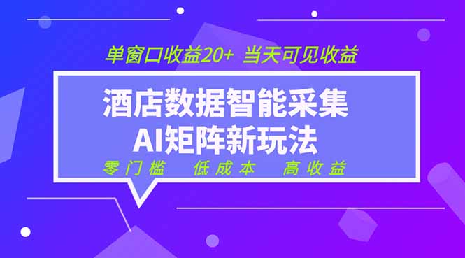 2026酒店数据采集ai智能矩阵新风口 低成本 高收益 当天见收益 单窗口20+-优优云创网