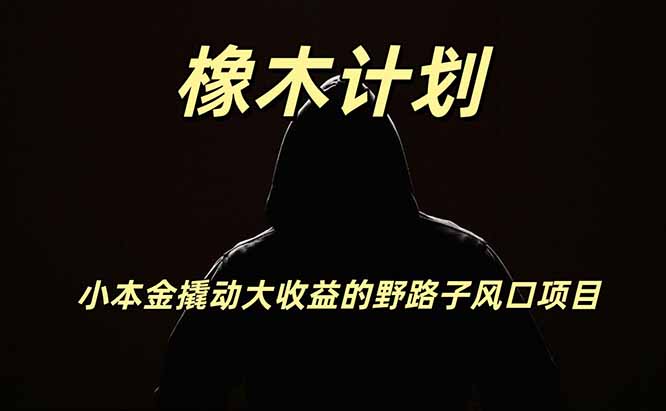 橡木计划，小投入撬动高回报的风口野路子项目，一天投入2小时左右-优优云创网