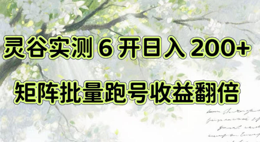 一台电脑就能做！灵谷实测6开日入200+，矩阵批量跑号收益翻倍【揭秘】-优优云创网