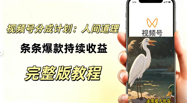 视频号新玩法之AI动漫画风励志视频,不用会画画、不用拍摄,持续化收益,详细拆解-优优云创网