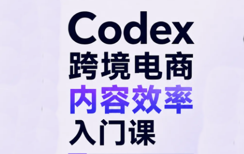 Codex跨境电商内容效率入门课-优优云创网