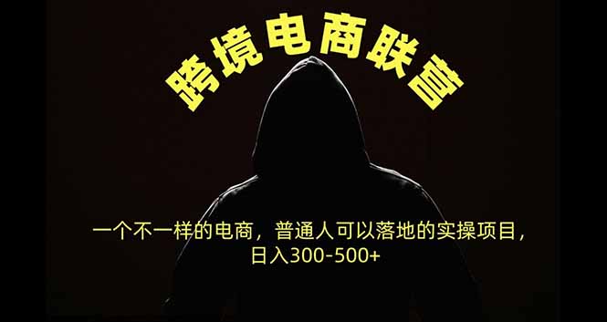 跨境电商联营,一个不一样的电商,普通人可操作日入300-500+-优优云创网