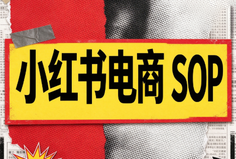 书豪必胜小红书电商sop(更新9月)-优优云创网