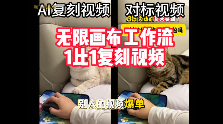 宠物带货视频复刻，无限画布工作流1比1，不用拍摄、不用布景、不用真人出镜，几分钟就能做出一条专业带货视频-优优云创网